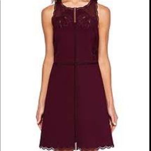 NWT Gorgeous Ted Baker Dress